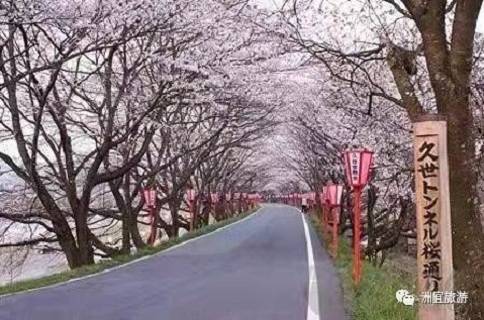 上海北京广州日本留学签证办理流程和材料详解